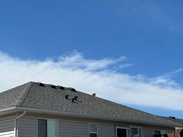 Fast & Reliable Emergency Roof Repairs in Savanna, IL